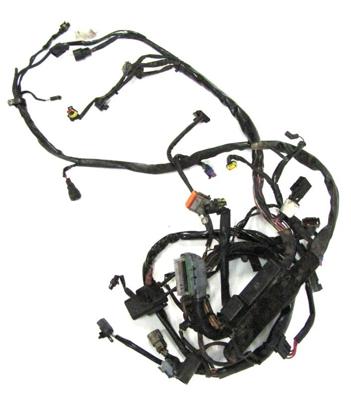 Main Harness