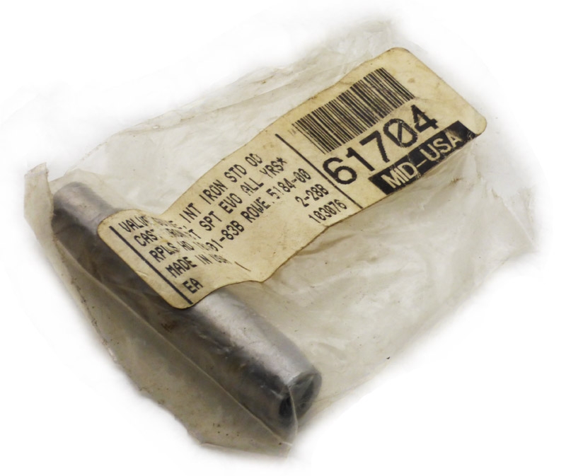 Valve Guide Intake Standard