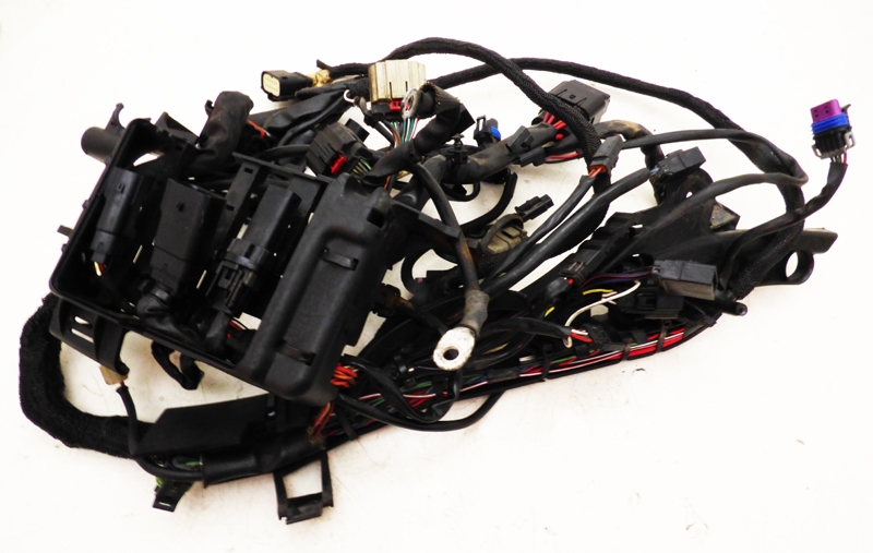 Harness Main