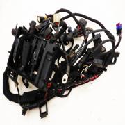 Harness Main, 69200073A, fits a Harley Davidson Sportster