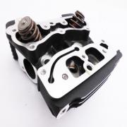 Cylinder Head 103 Front (0km done), 16500023, fits a Harley Davidson Multifit