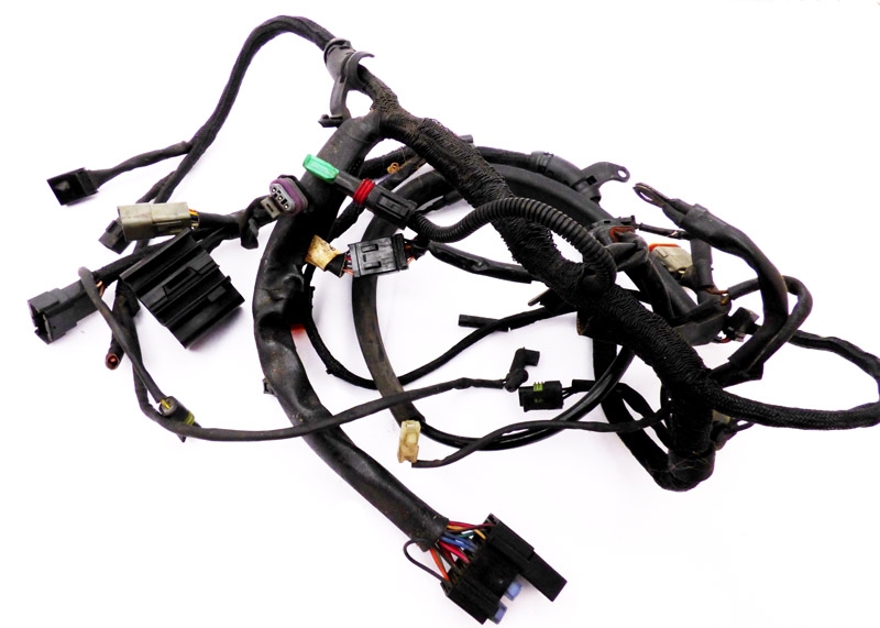 Harness Main