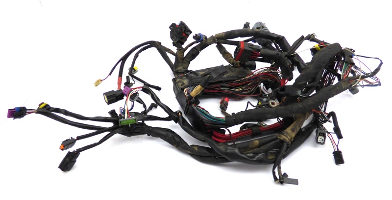Harness
