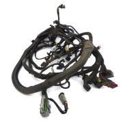 Harness Main, 69602-07, fits a Harley Davidson Dyna