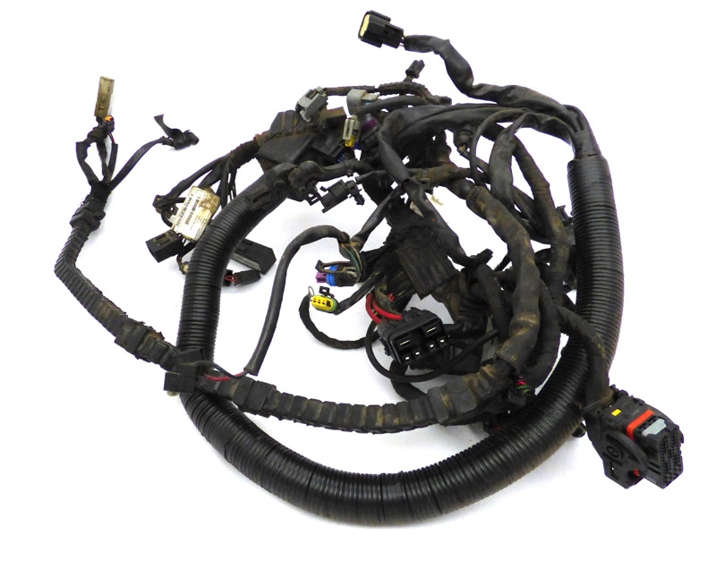 Harness Main