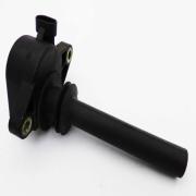 Coil, 32477-01A, fits a Harley Davidson V-Rod