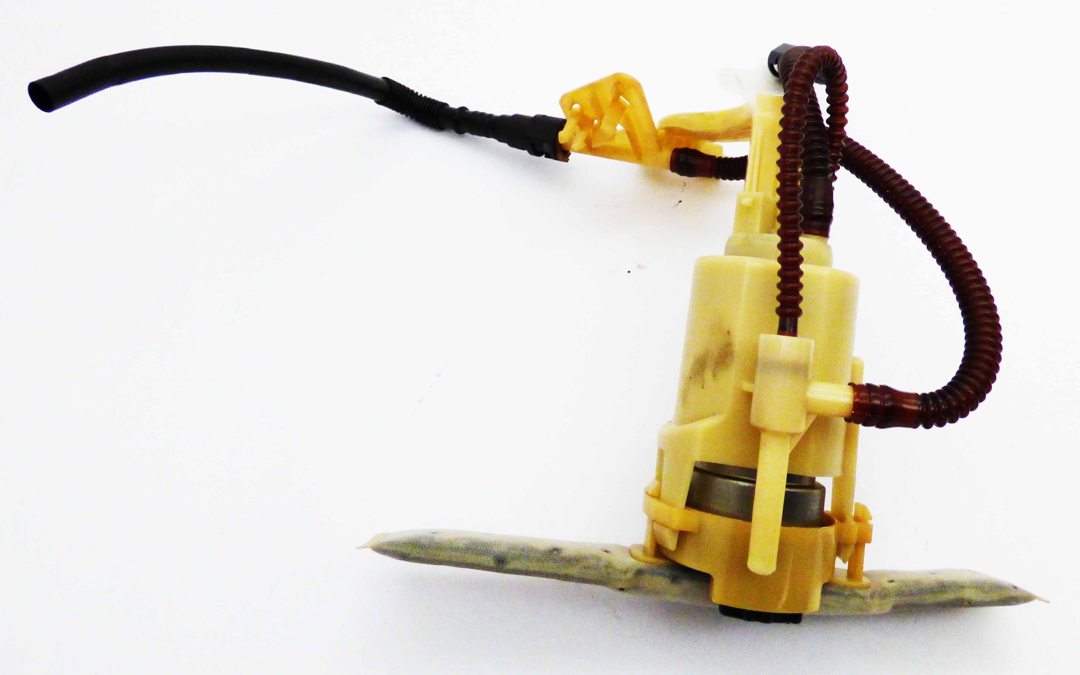 Fuel Pump Assembly