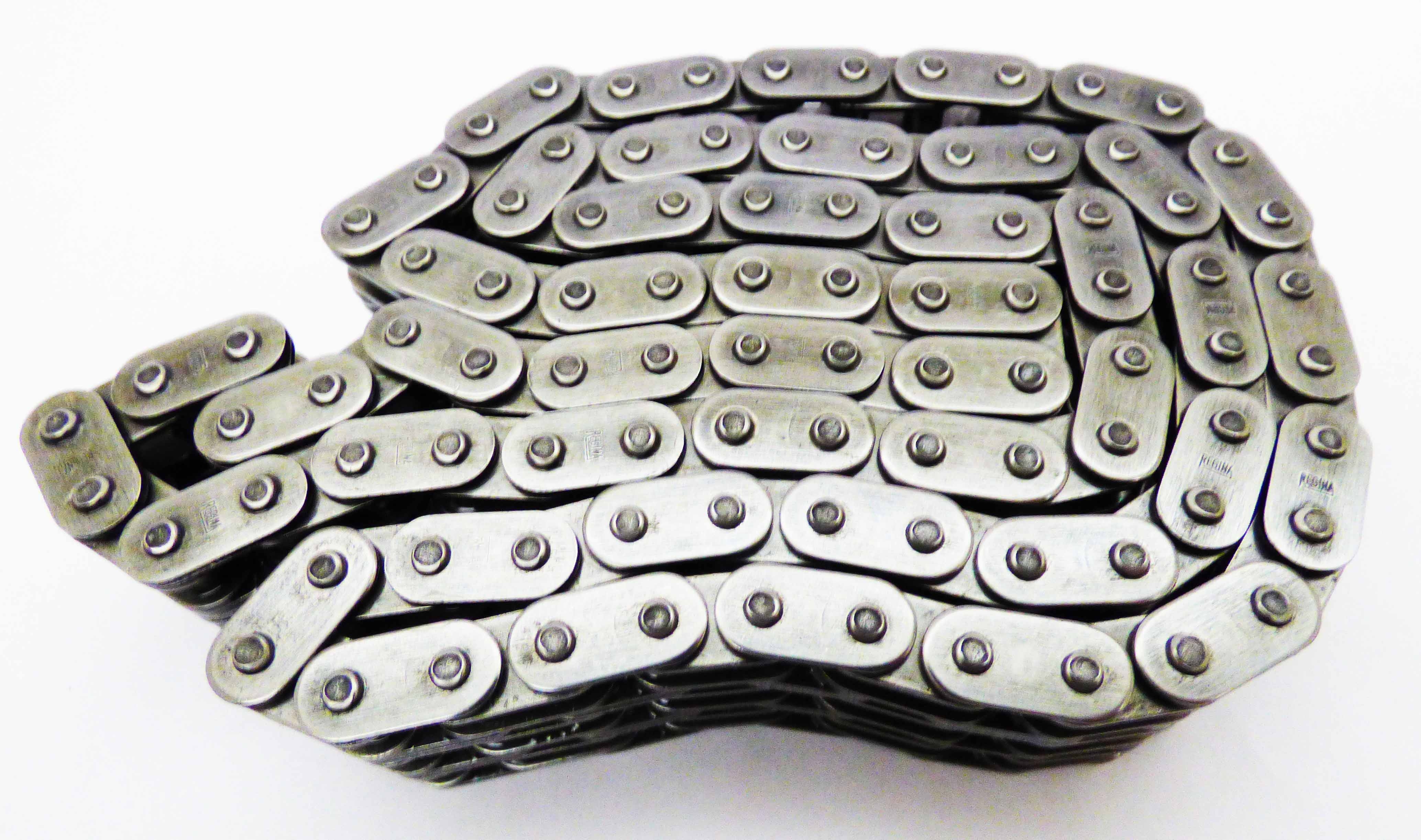 Primary Chain
