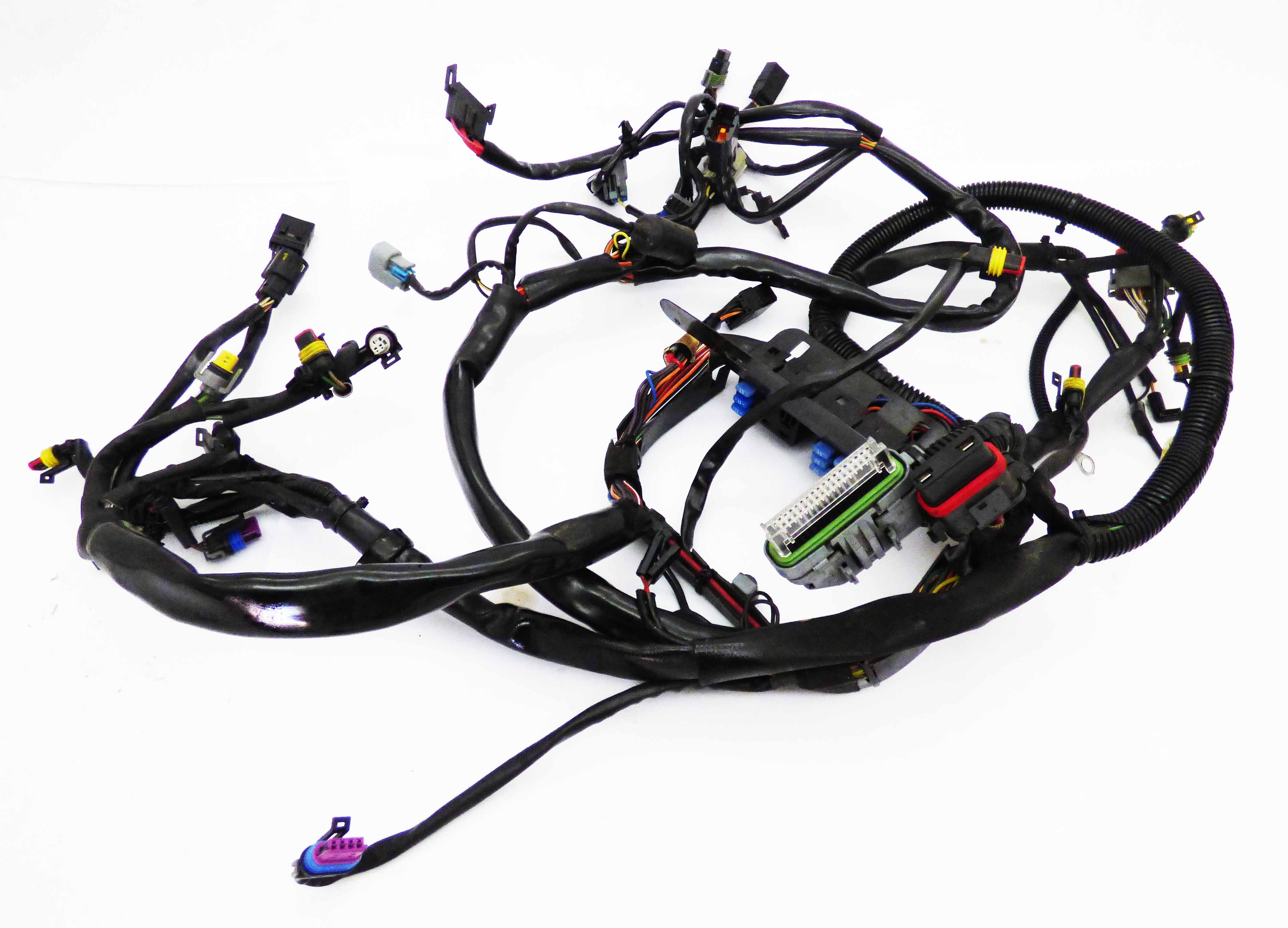 Harness