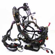 Harness, 69200118, fits a Harley Davidson Touring