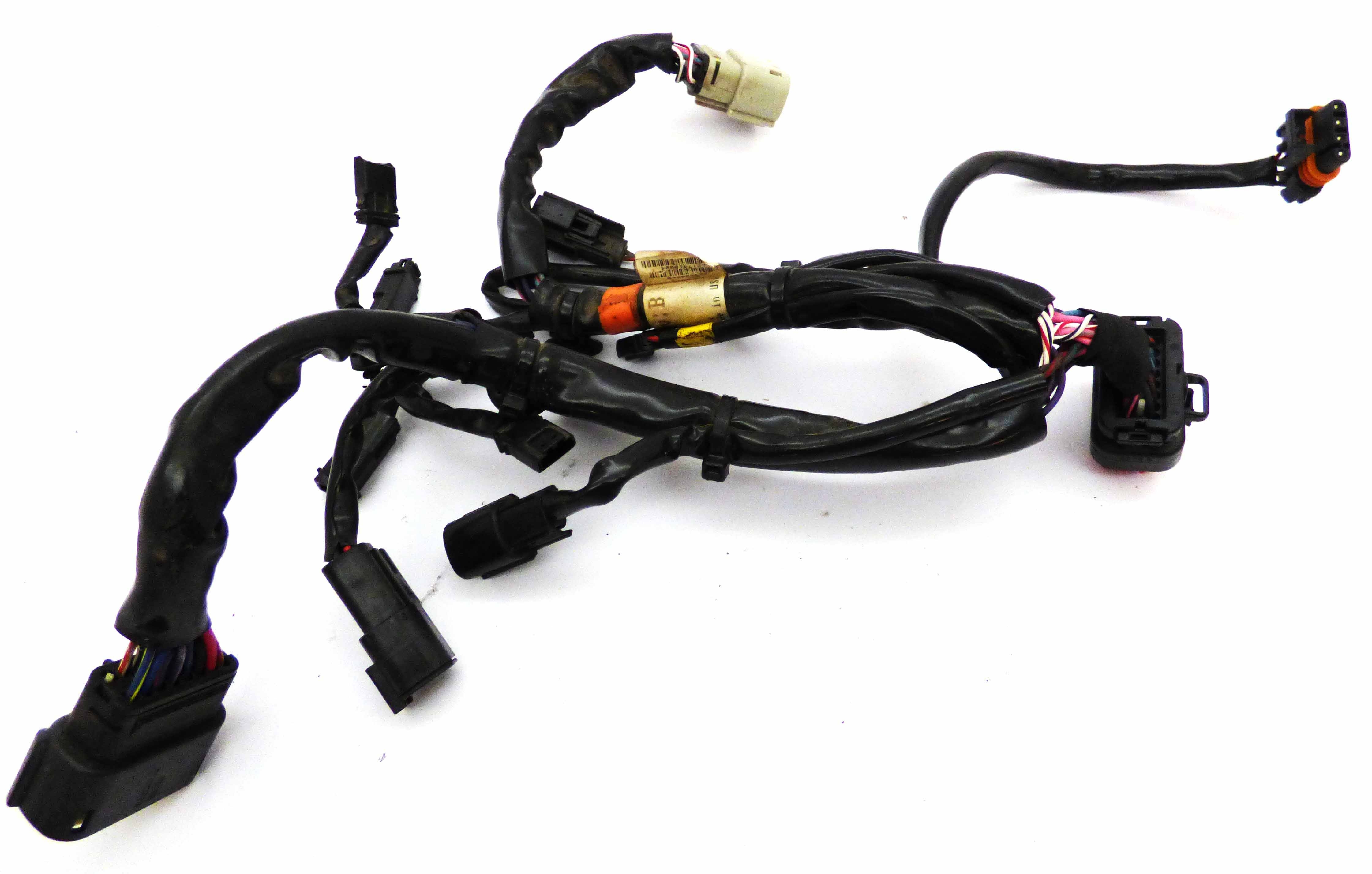 Harness