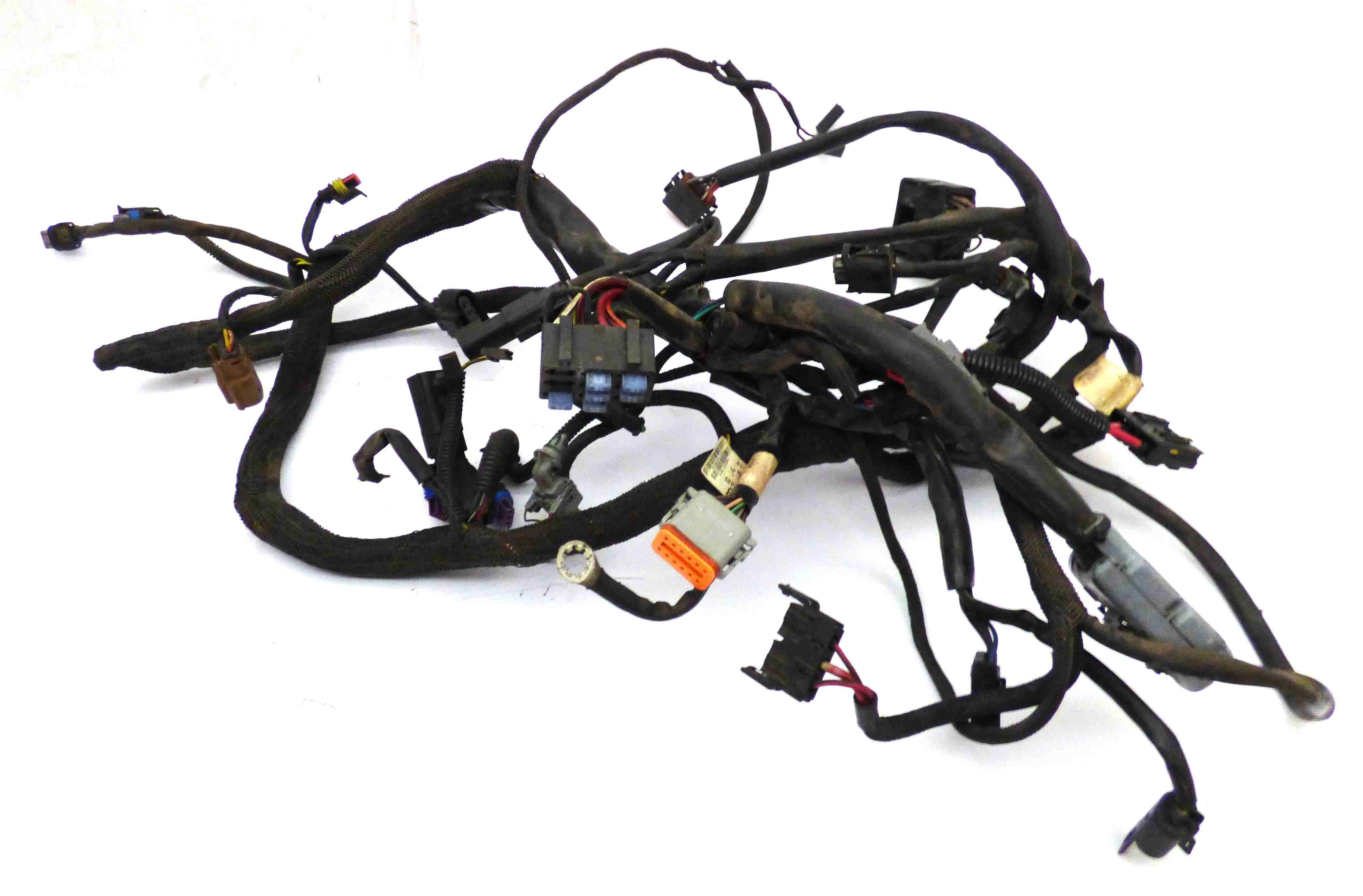 Harness Main