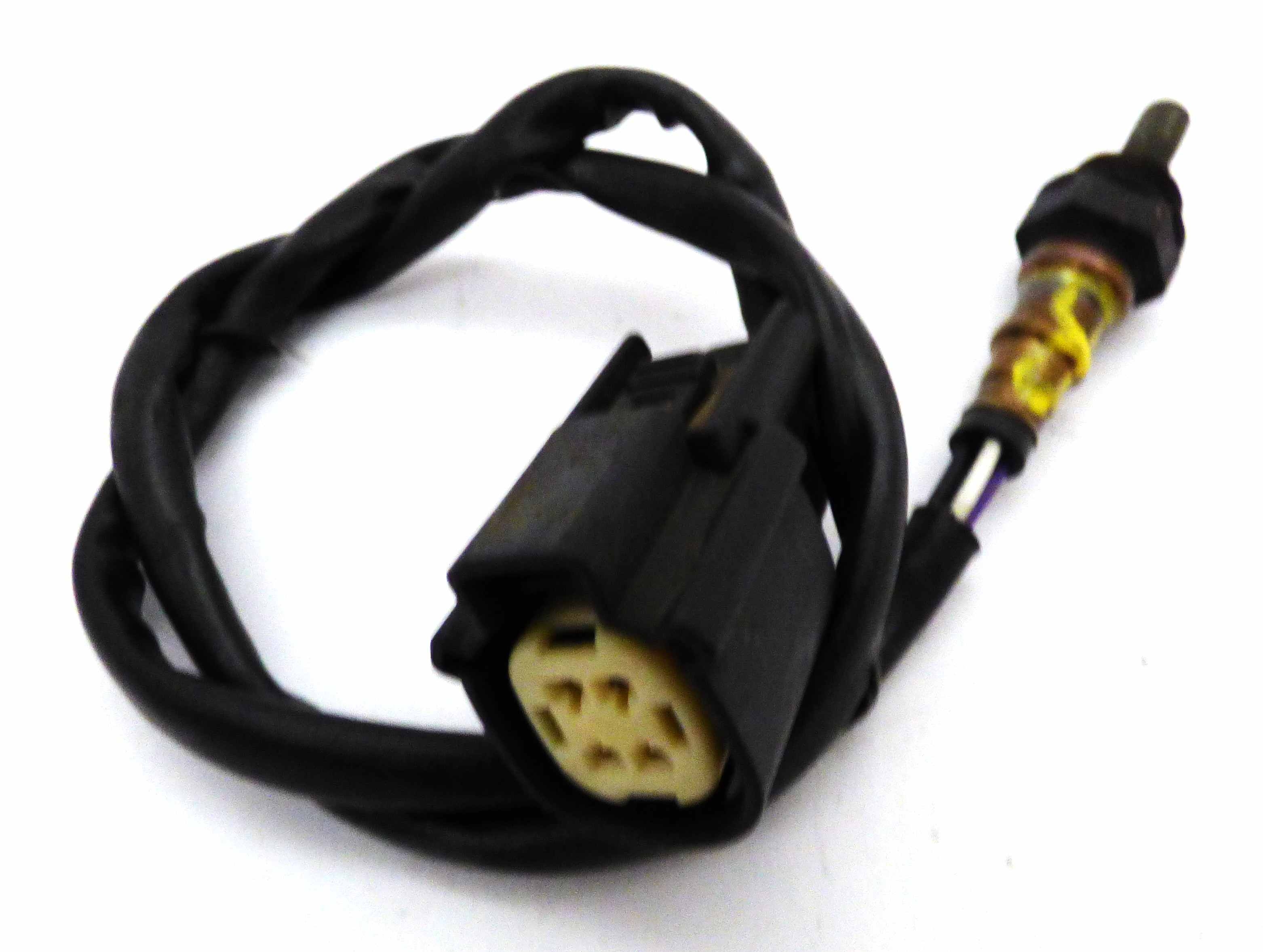 Oxy Sensor Rear