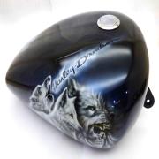 Fuel Tank, 61000703, fits a Harley Davidson Sportster