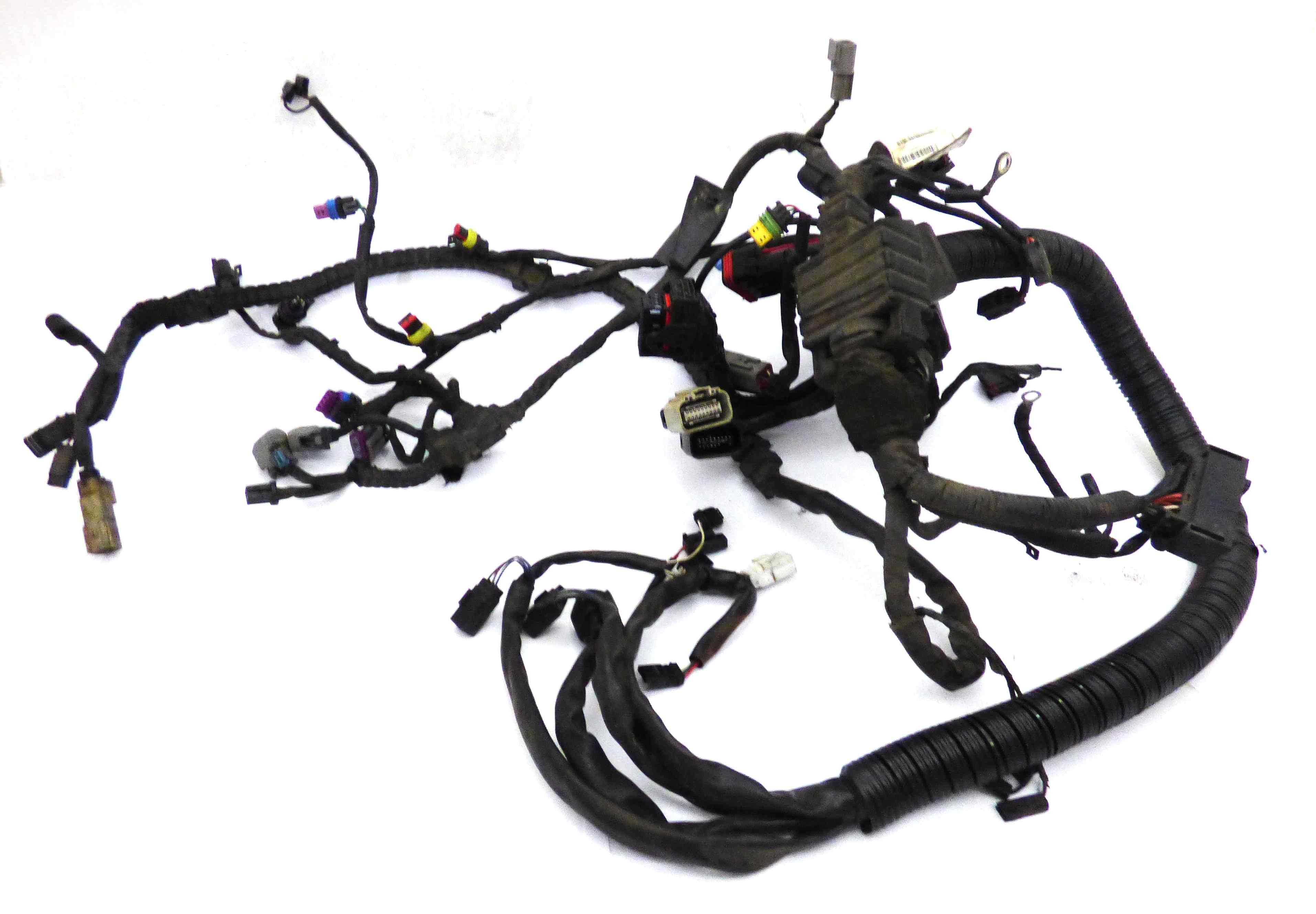 Harness Main