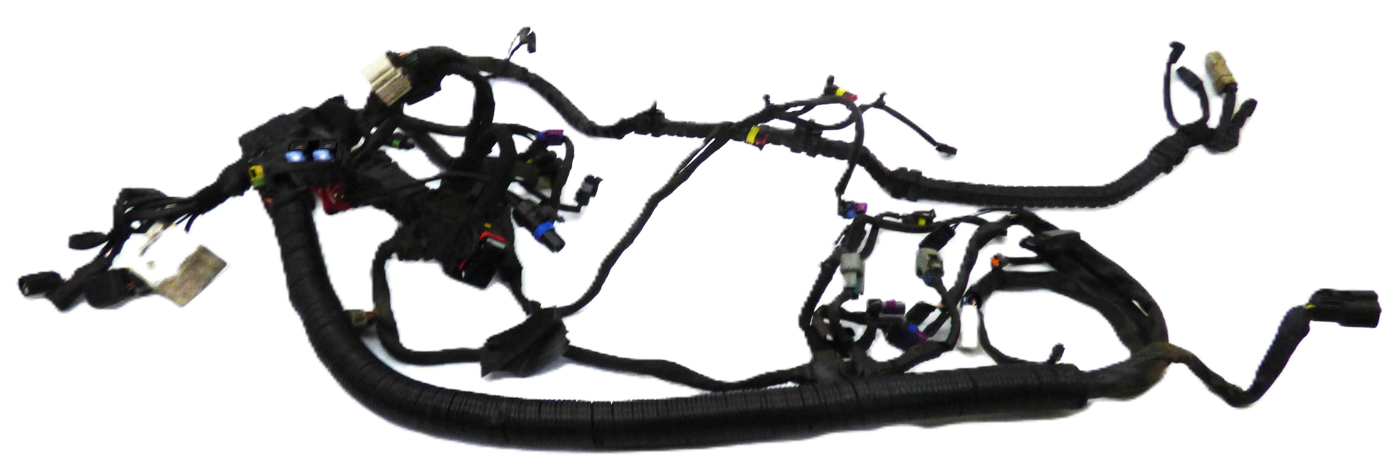 Harness Main