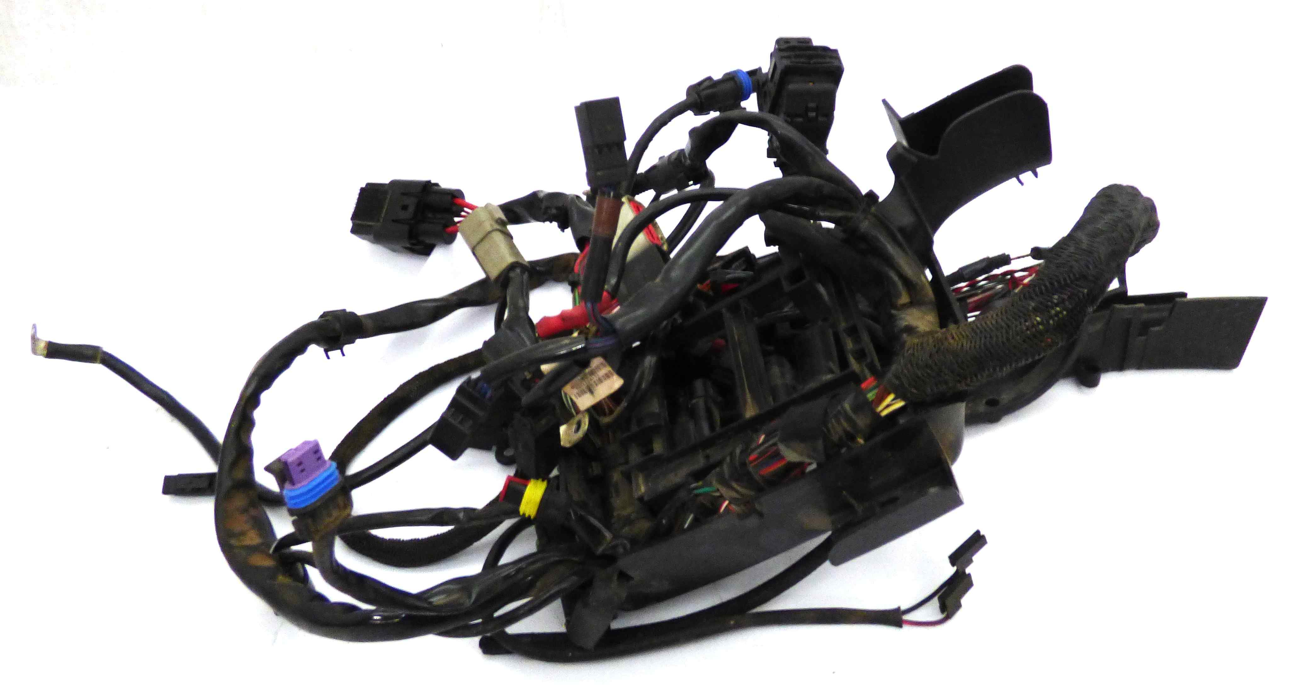Harness Main