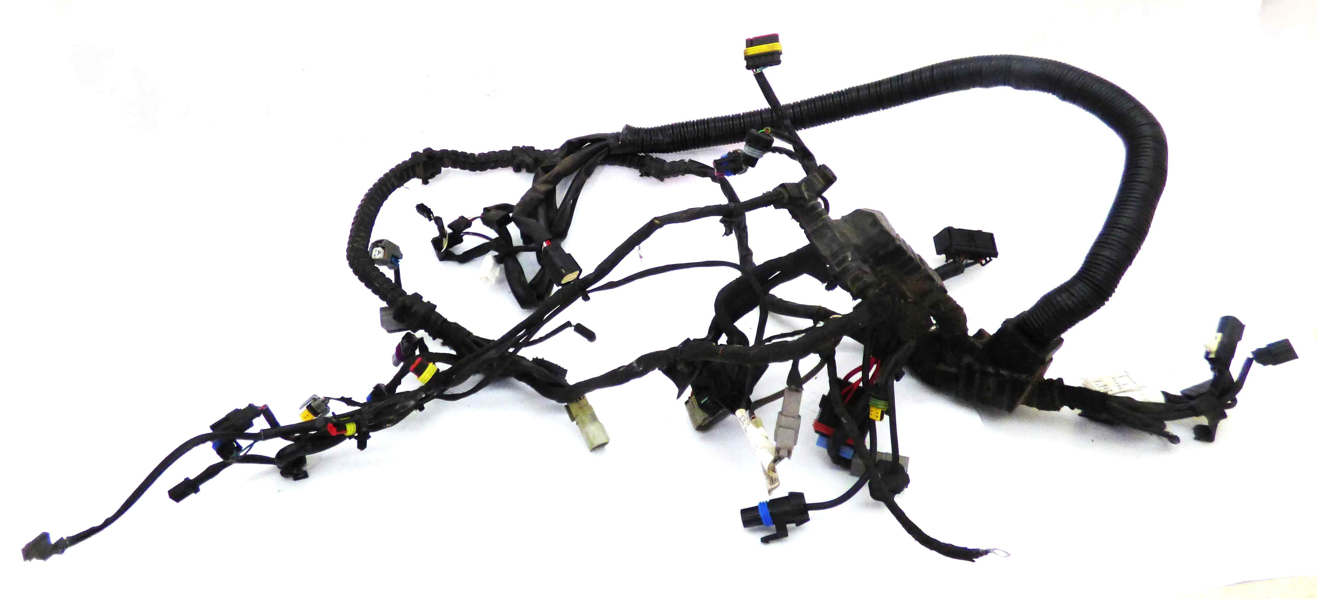 Harness Main